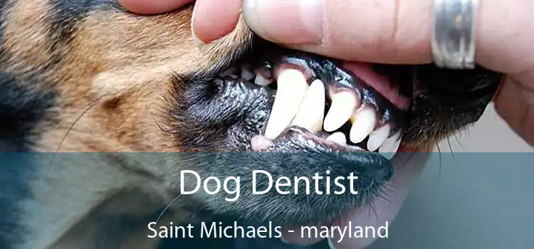 Dog Dentist Saint Michaels - maryland