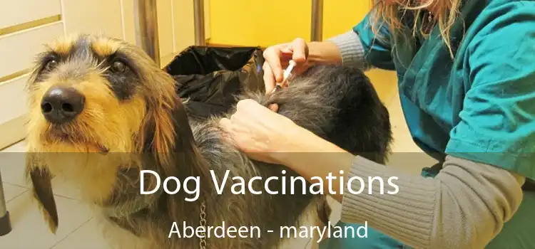 Dog Vaccinations Aberdeen - maryland