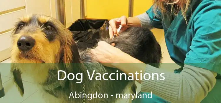 Dog Vaccinations Abingdon - maryland