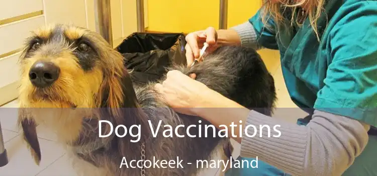 Dog Vaccinations Accokeek - maryland