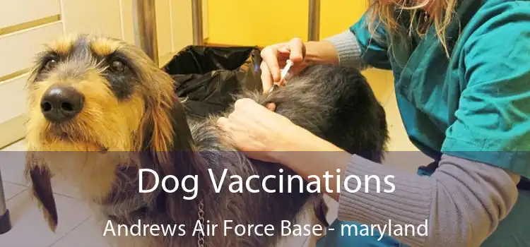 Dog Vaccinations Andrews Air Force Base - maryland