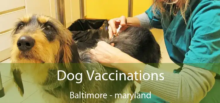 Dog Vaccinations Baltimore - maryland