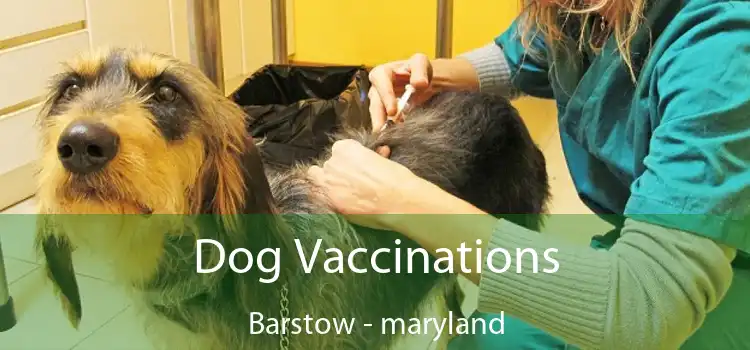 Dog Vaccinations Barstow - maryland