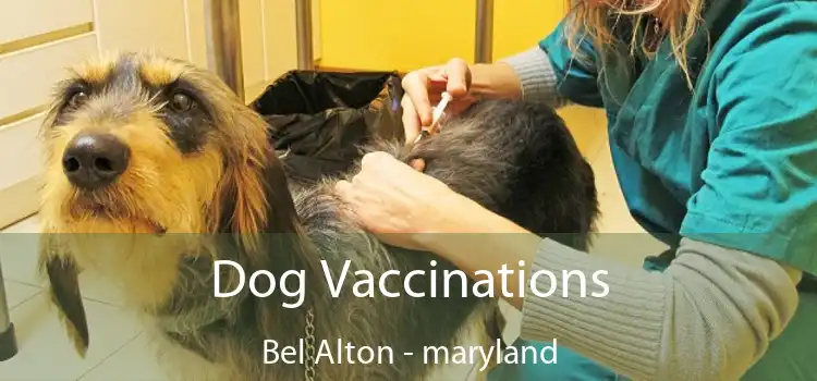 Dog Vaccinations Bel Alton - maryland