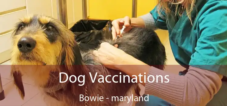 Dog Vaccinations Bowie - maryland