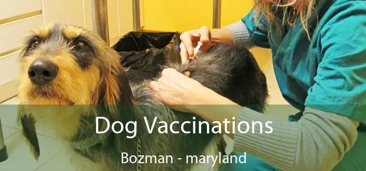 Dog Vaccinations Bozman - maryland