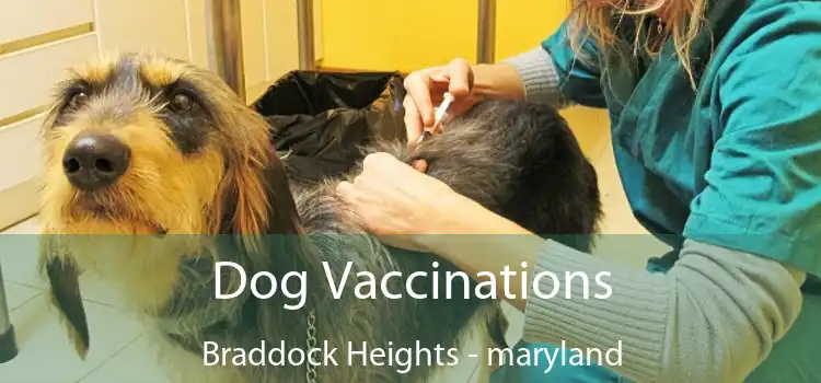 Dog Vaccinations Braddock Heights - maryland