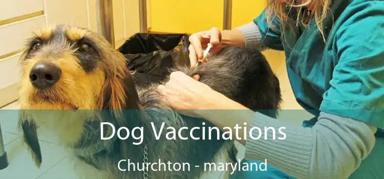 Dog Vaccinations Churchton - maryland