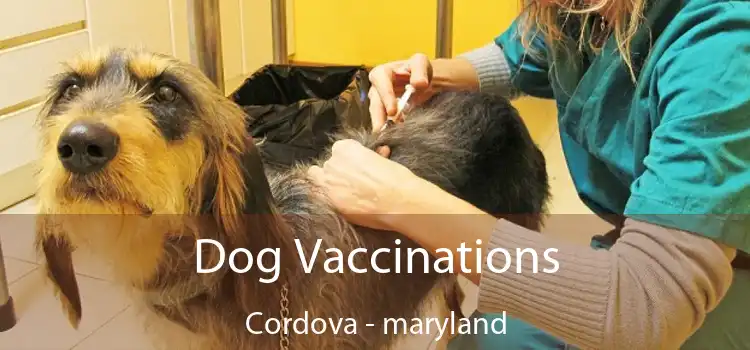 Dog Vaccinations Cordova - maryland