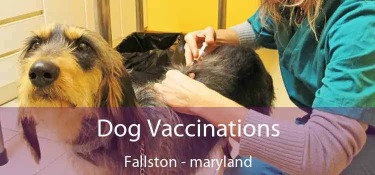 Dog Vaccinations Fallston - maryland