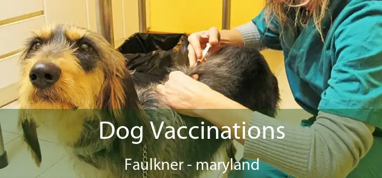 Dog Vaccinations Faulkner - maryland