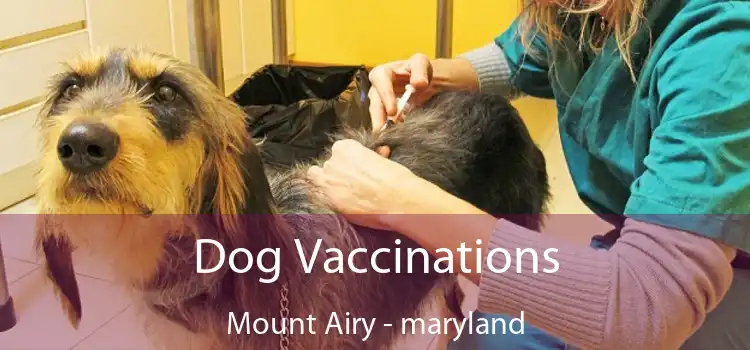 Dog Vaccinations Mount Airy - maryland