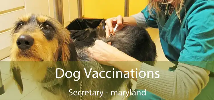 Dog Vaccinations Secretary - maryland