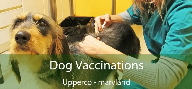 Dog Vaccinations Upperco - maryland