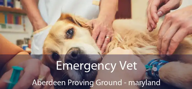 Emergency Vet Aberdeen Proving Ground - maryland