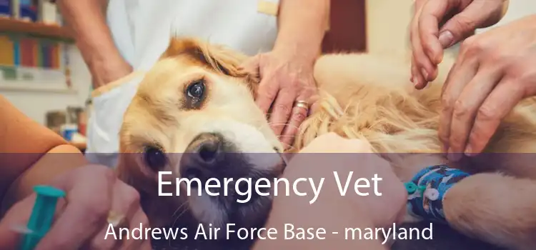 Emergency Vet Andrews Air Force Base - maryland