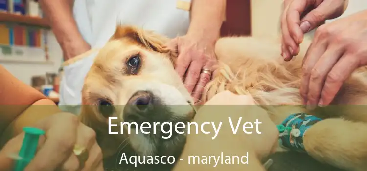 Emergency Vet Aquasco - maryland