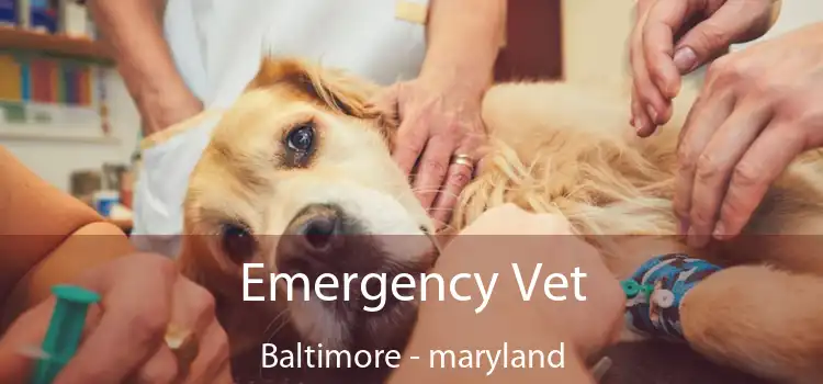 Emergency Vet Baltimore - maryland