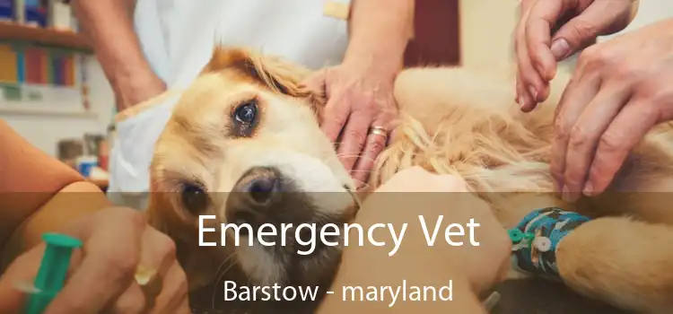 Emergency Vet Barstow - maryland