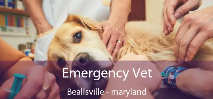 Emergency Vet Beallsville - maryland