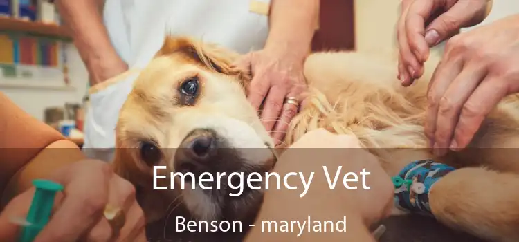 Emergency Vet Benson - maryland