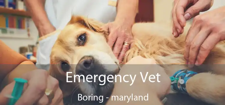 Emergency Vet Boring - maryland