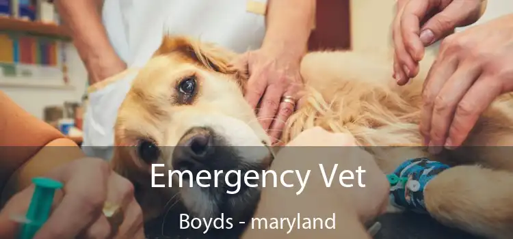 Emergency Vet Boyds - maryland