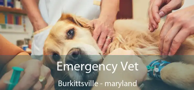 Emergency Vet Burkittsville - maryland