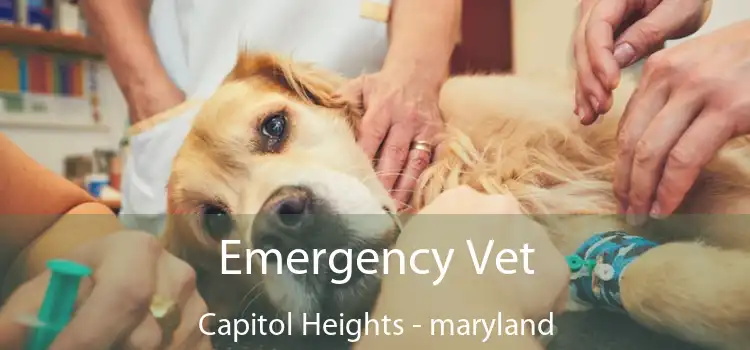 Emergency Vet Capitol Heights - maryland