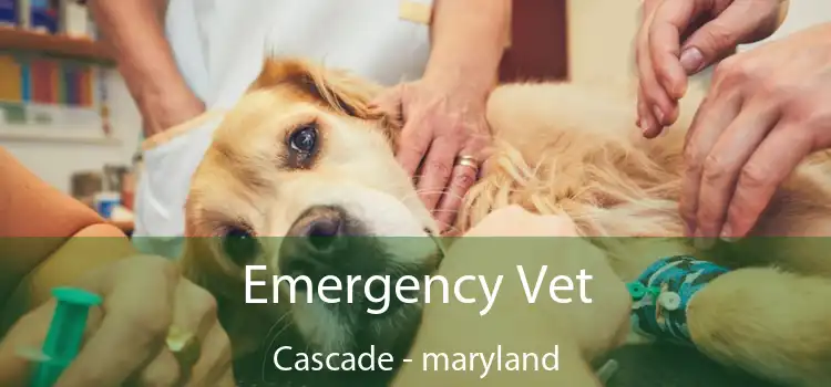 Emergency Vet Cascade - maryland