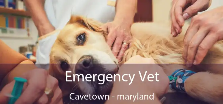 Emergency Vet Cavetown - maryland