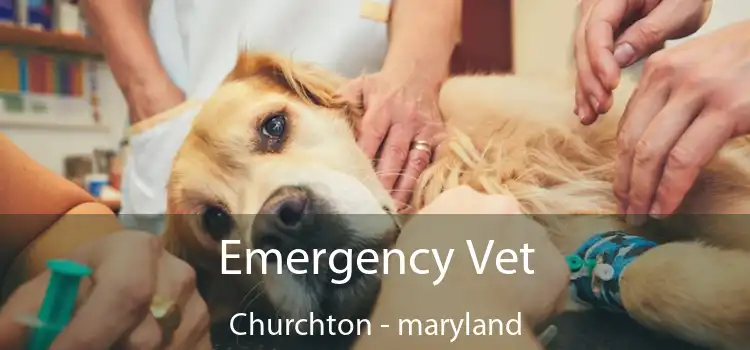 Emergency Vet Churchton - maryland