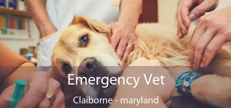 Emergency Vet Claiborne - maryland