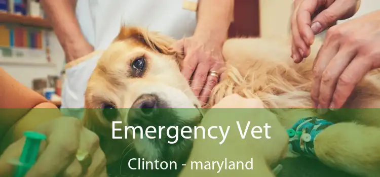 Emergency Vet Clinton - maryland