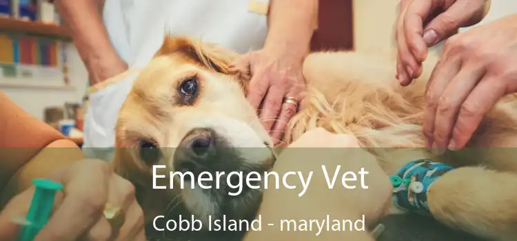 Emergency Vet Cobb Island - maryland