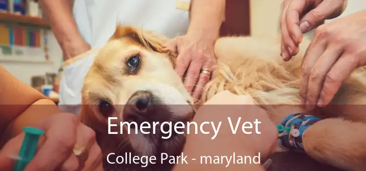 Emergency Vet College Park - maryland