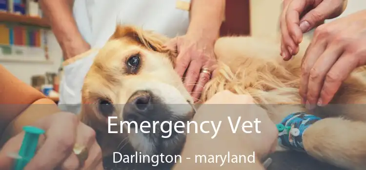 Emergency Vet Darlington - maryland