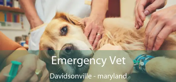 Emergency Vet Davidsonville - maryland