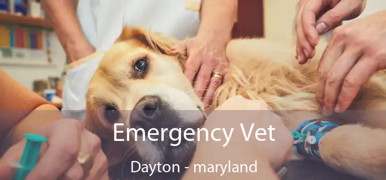 Emergency Vet Dayton - maryland