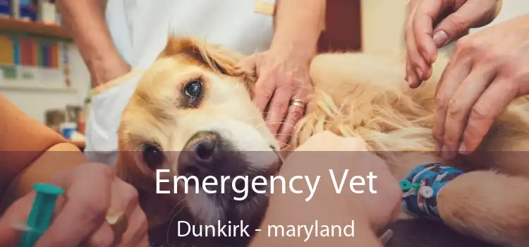 Emergency Vet Dunkirk - maryland