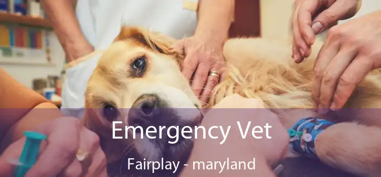 Emergency Vet Fairplay - maryland