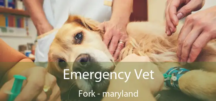 Emergency Vet Fork - maryland