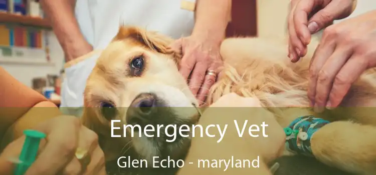 Emergency Vet Glen Echo - maryland