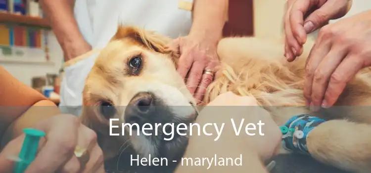 Emergency Vet Helen - maryland