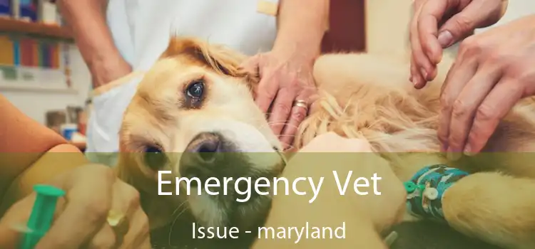 Emergency Vet Issue - maryland