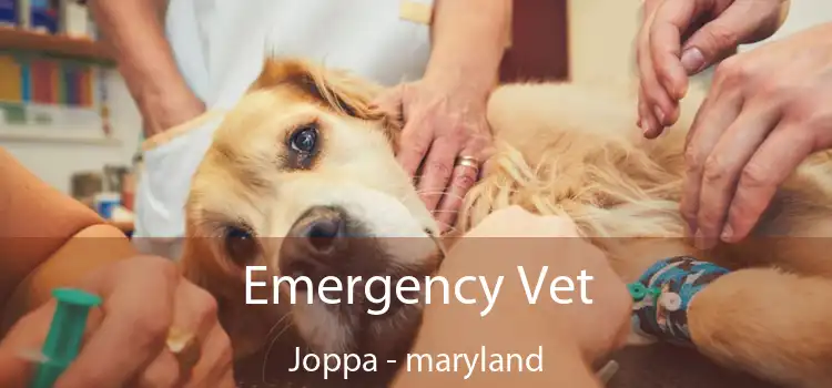 Emergency Vet Joppa - maryland