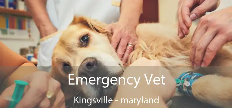 Emergency Vet Kingsville - maryland