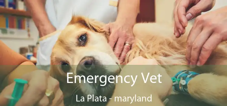 Emergency Vet La Plata - maryland