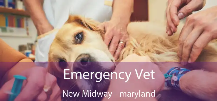 Emergency Vet New Midway - maryland