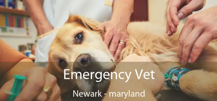 Emergency Vet Newark - maryland